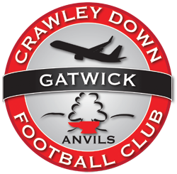 Crawley Down Gatwick FC